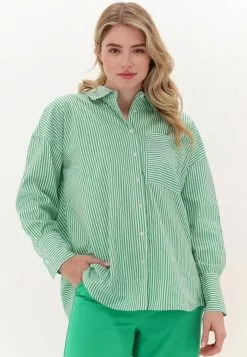 Moves Elanu - Overhemdblouse - Groen